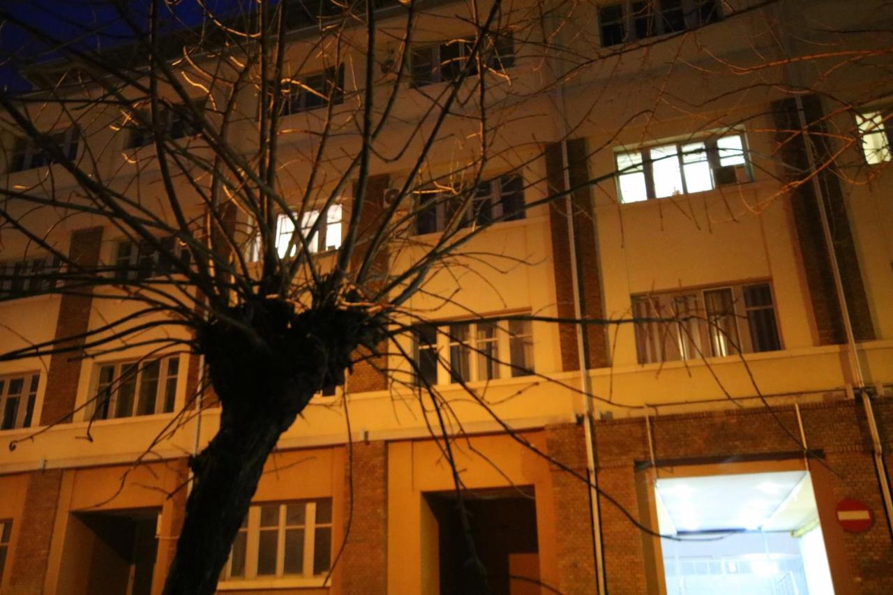 Comfort Residence تيميشورا المظهر الخارجي الصورة